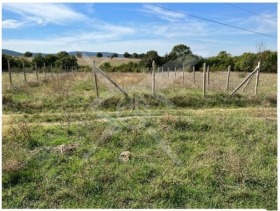 ������ ������� ������