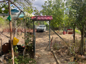 ����� ������� ������,���� ����, ���������� ���� - �����