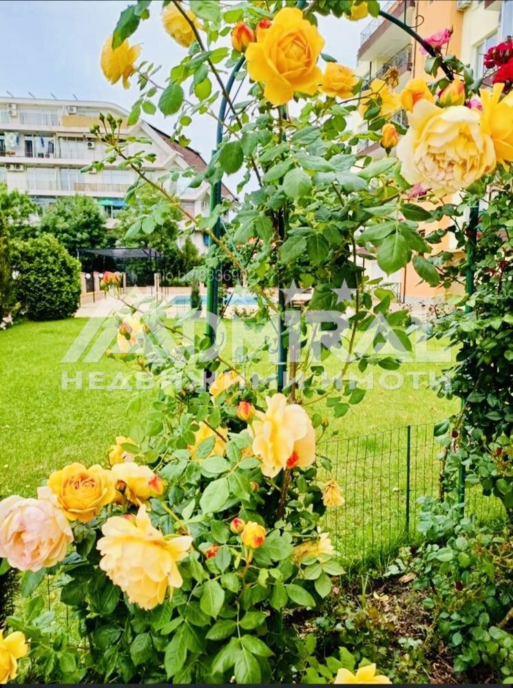 Zu verkaufen  1 Schlafzimmer region Burgas , k.k. Slantschew brjag , 50 qm | 31811876 - Bild [9]