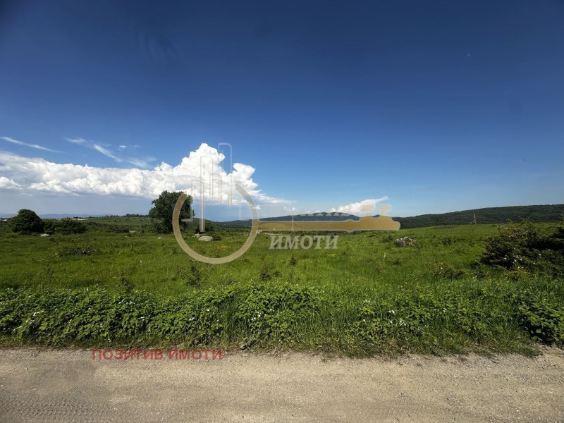 Zu verkaufen  Handlung Sofia , Bistriza , 3022 qm | 90609375 - Bild [4]