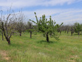 Продава ПАРЦЕЛ, област Пловдив, с. Брестник • 186000 € • 67283557 — Holmes.bg
