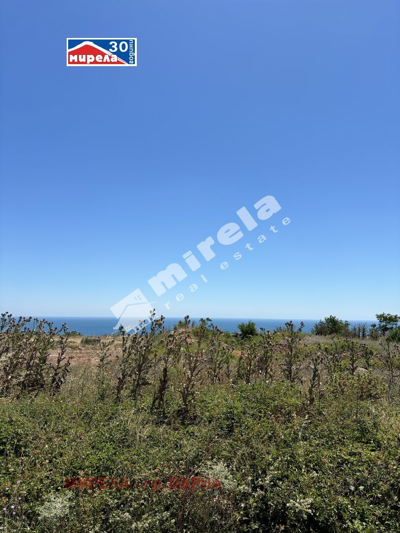 ������� ������ | Imot.bg � ����������� 2