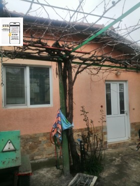 ������ ������� ����