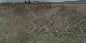 ����� ������� ������,�. ������, ������ ������