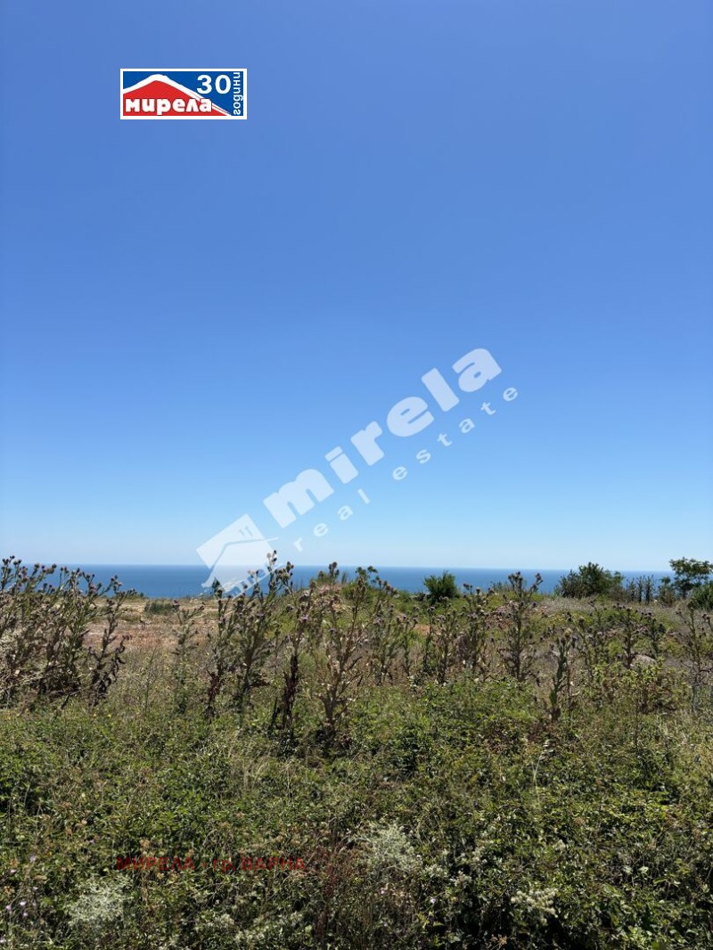 Продава ПАРЦЕЛ, с. Божурец, област Добрич, снимка 2 - Парцели - 53016288