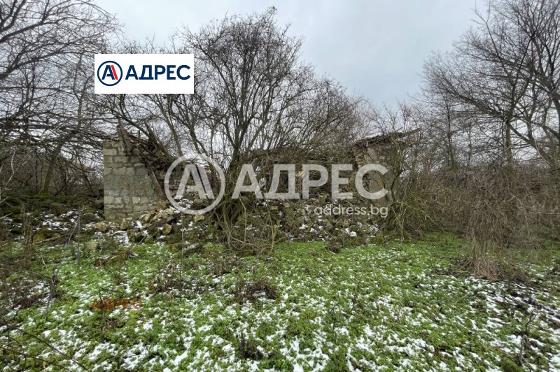 Продава ПАРЦЕЛ, с. Добрина, област Варна, снимка 6 - Парцели - 53536815