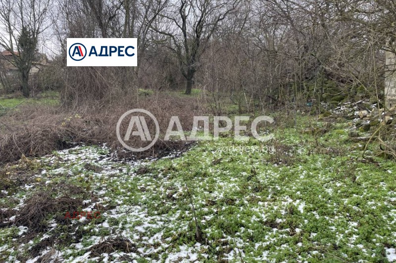 Продава ПАРЦЕЛ, с. Добрина, област Варна, снимка 2 - Парцели - 53536815