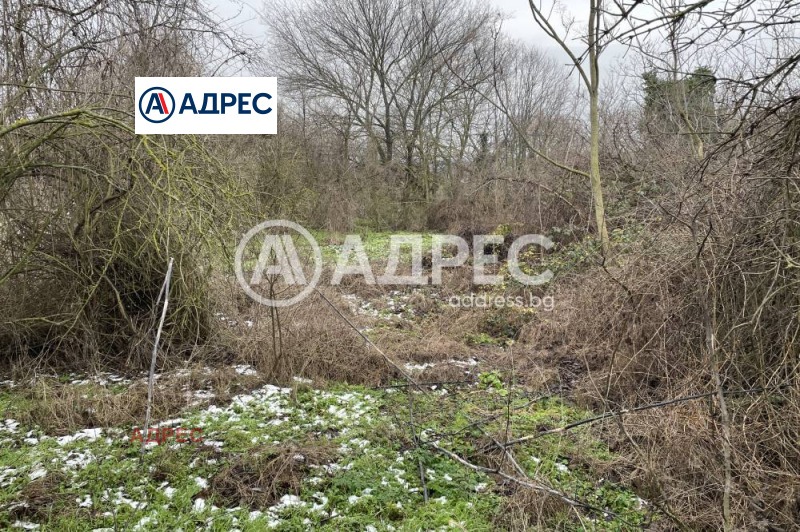 Продава ПАРЦЕЛ, с. Добрина, област Варна, снимка 5 - Парцели - 53536815