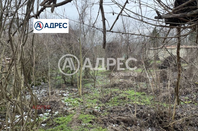 Продава ПАРЦЕЛ, с. Добрина, област Варна, снимка 3 - Парцели - 53536815