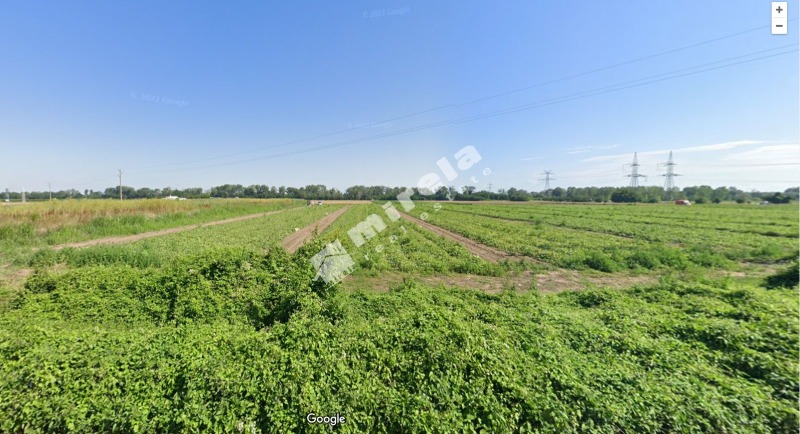 Продава  Земеделска земя област Пловдив , с. Чешнегирово , 6 дка | 68484148 - изображение [2]