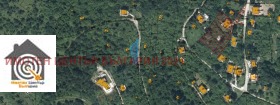 Плот Панчарево, Софија