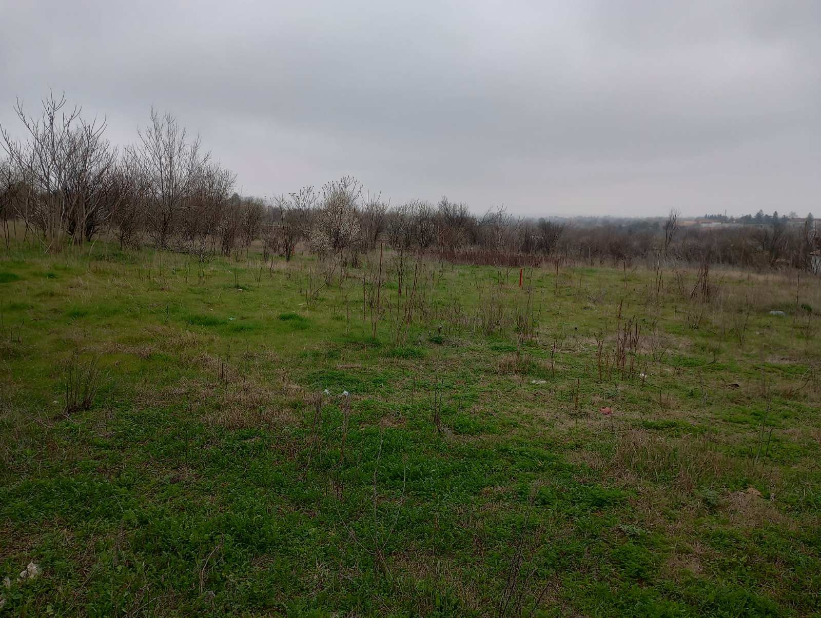Продава ПАРЦЕЛ, с. Дуранкулак, област Добрич, снимка 2 - Парцели - 51145372