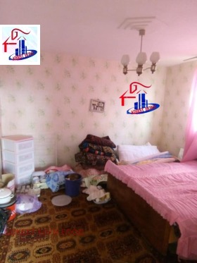 ����� ������� ����,���� �����, ���������