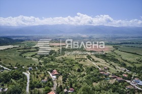 ����� ������� ����,�. ����� ��������, ������ �����