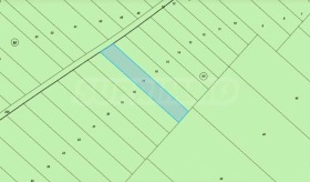 ������ ������� ������