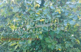 ������� ���������� ���� | Imot.bg � ����� ������ 3