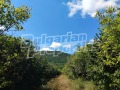 Продава ЗЕМЕДЕЛСКА ЗЕМЯ, с. Златар, област Шумен, снимка 4