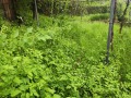 Продава КЪЩА, град Кюстендил, Център • 140000 € • 45634173 — Holmes.bg