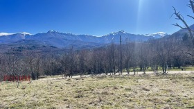 ����� ������� ������,�. �������, ������ �������