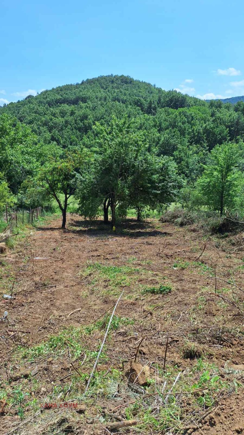 Eladó  Cselekmény régió Lovech , Belis , 1001 négyzetméter | 70870169 - kép [2]