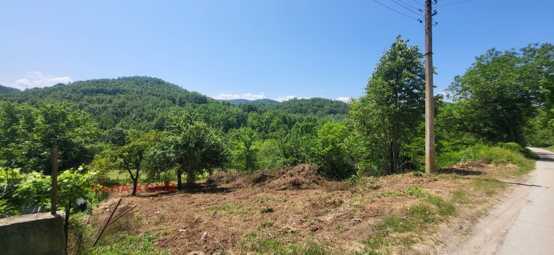 Eladó  Cselekmény régió Lovech , Belis , 1001 négyzetméter | 70870169 - kép [7]