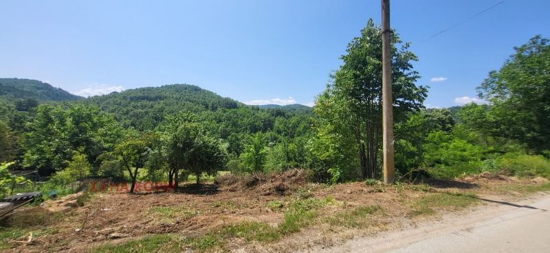 Eladó  Cselekmény régió Lovech , Belis , 1001 négyzetméter | 70870169 - kép [3]