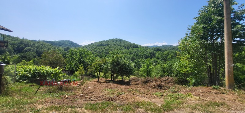 Продава  Парцел, област Ловеч, с. Белиш • 17 900 EUR • ID 51542536 — holmes.bg - [1] 
