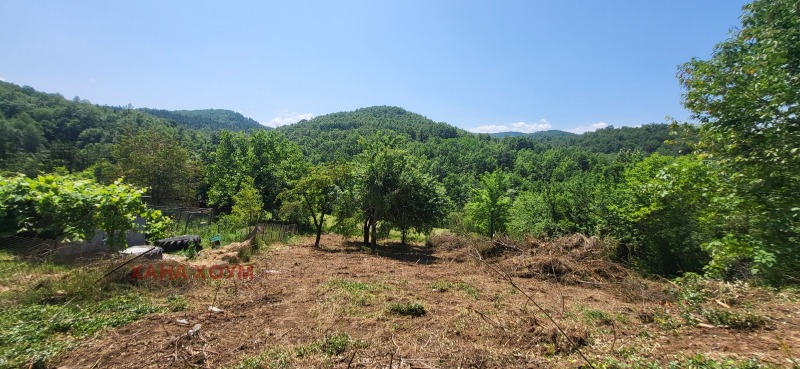 Eladó  Cselekmény régió Lovech , Belis , 1001 négyzetméter | 70870169 - kép [5]