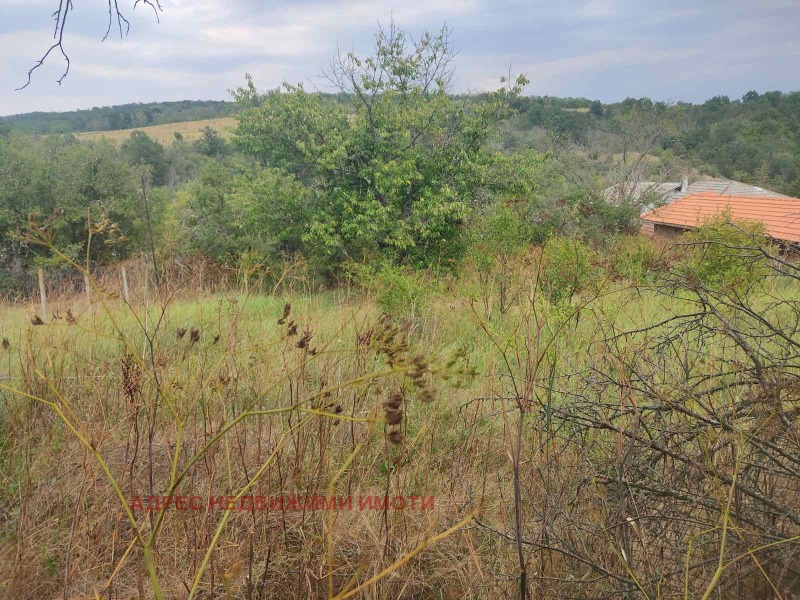 Продава  Парцел област Стара Загора , с. Казанка , 600 кв.м | 39452137 - изображение [2]