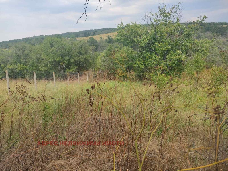 Продава  Парцел, област Стара Загора, с. Казанка • 15 900 EUR • ID 54495008 — holmes.bg - [1] 