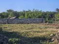 Продава КЪЩА, с. Топола, област Добрич, снимка 11