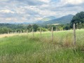 Продава ПАРЦЕЛ, област Велико Търново, с. Лазарци • 35000 € • 16193990 — Holmes.bg