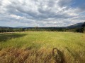 Продава ПАРЦЕЛ, област Велико Търново, с. Лазарци • 35000 € • 16193990 — Holmes.bg