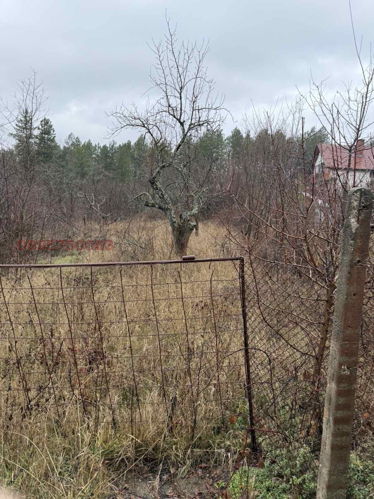 ������� ������ | Imot.bg � ����������� 2