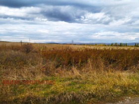 Handlung Boschurishte, region Sofia 1