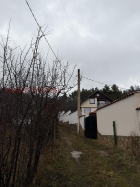 ����� ������� ������,���� �����, �. ����������