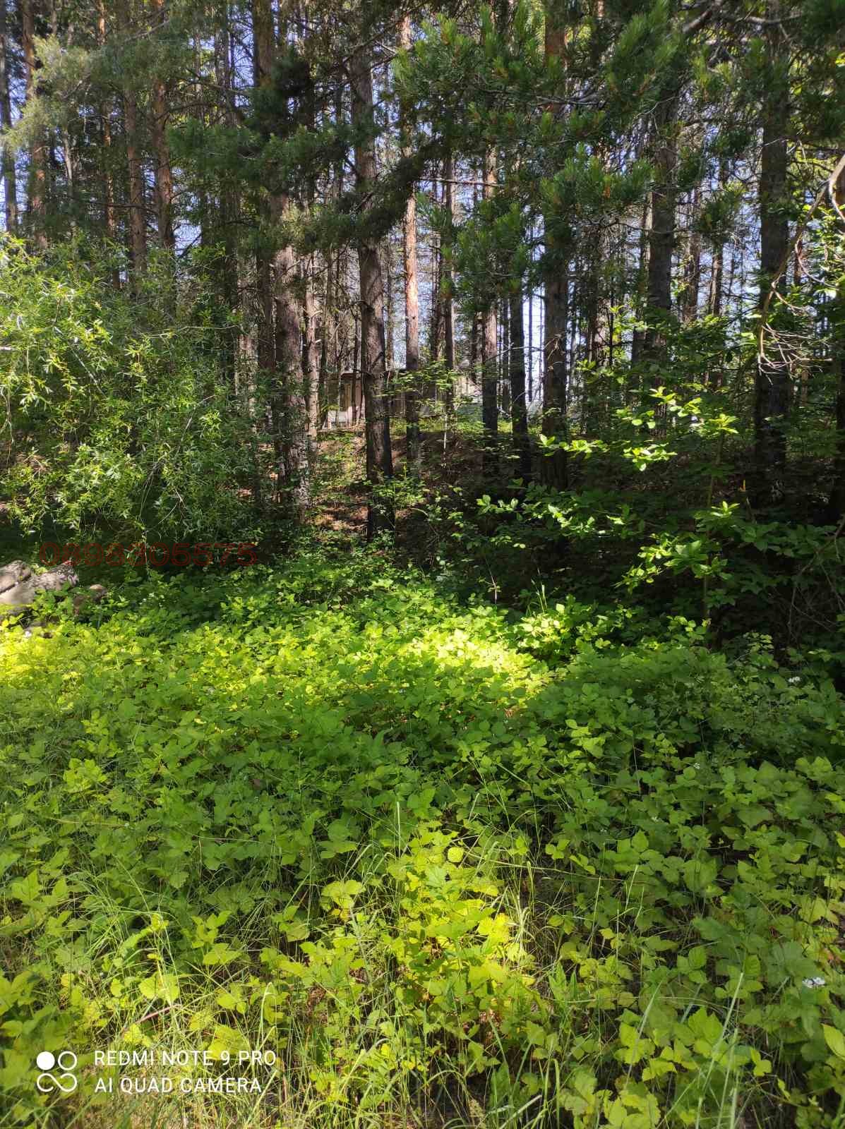 Продава ПАРЦЕЛ, с. Гълъбово, област Пловдив