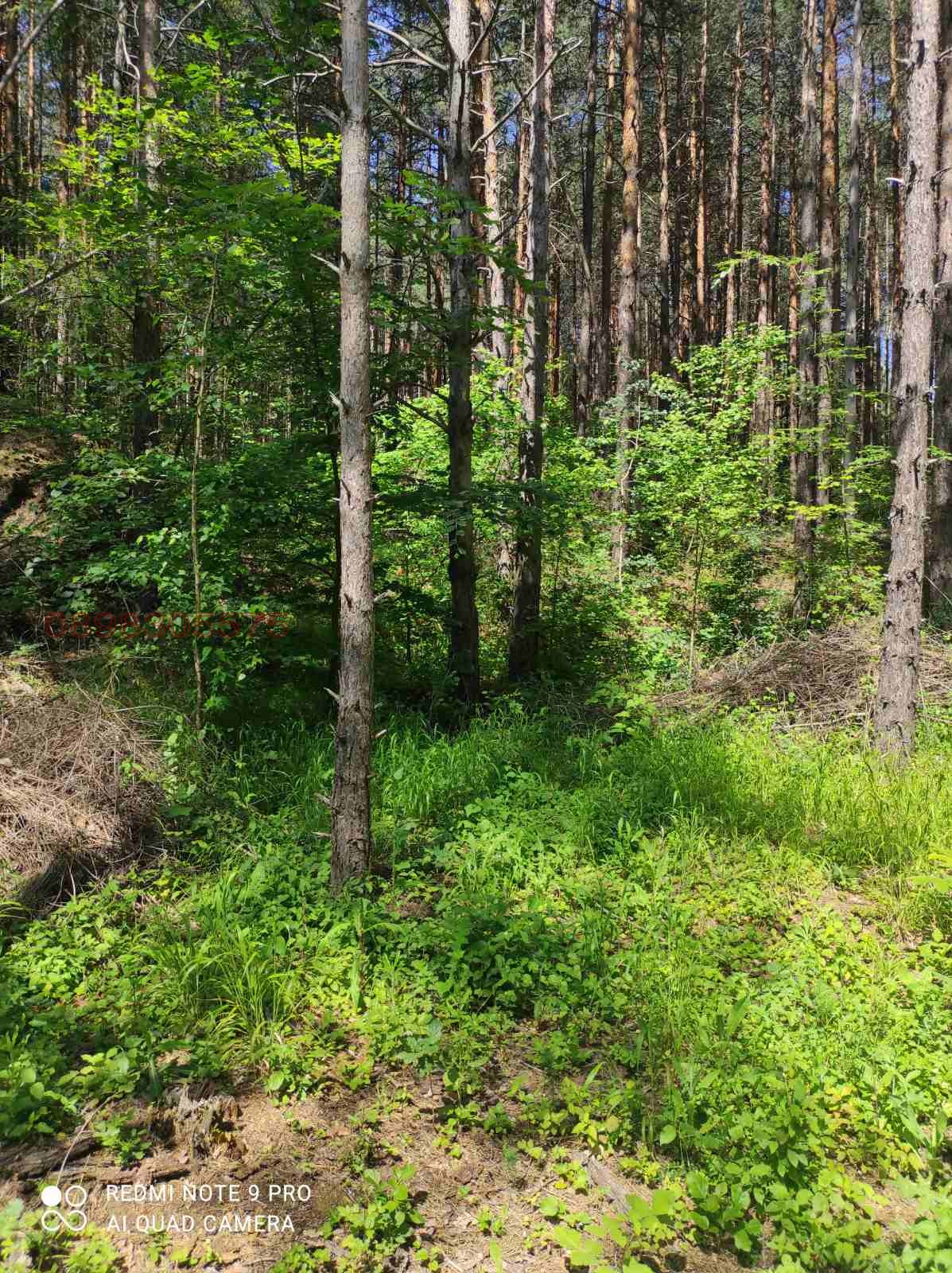 Продава ПАРЦЕЛ, с. Гълъбово, област Пловдив, снимка 4 - Парцели - 54494155