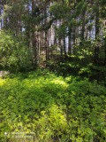 Продава ПАРЦЕЛ, с. Гълъбово, област Пловдив, снимка 6