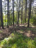 Продава ПАРЦЕЛ, с. Гълъбово, област Пловдив, снимка 3