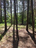 Продава ПАРЦЕЛ, с. Гълъбово, област Пловдив, снимка 5