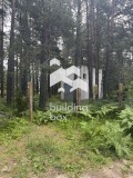Продава  Парцел област Пловдив , гр. Куклен , 1000 кв.м | 17967957 - изображение [8]