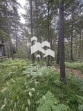 Продава  Парцел област Пловдив , гр. Куклен , 1000 кв.м | 17967957 - изображение [6]