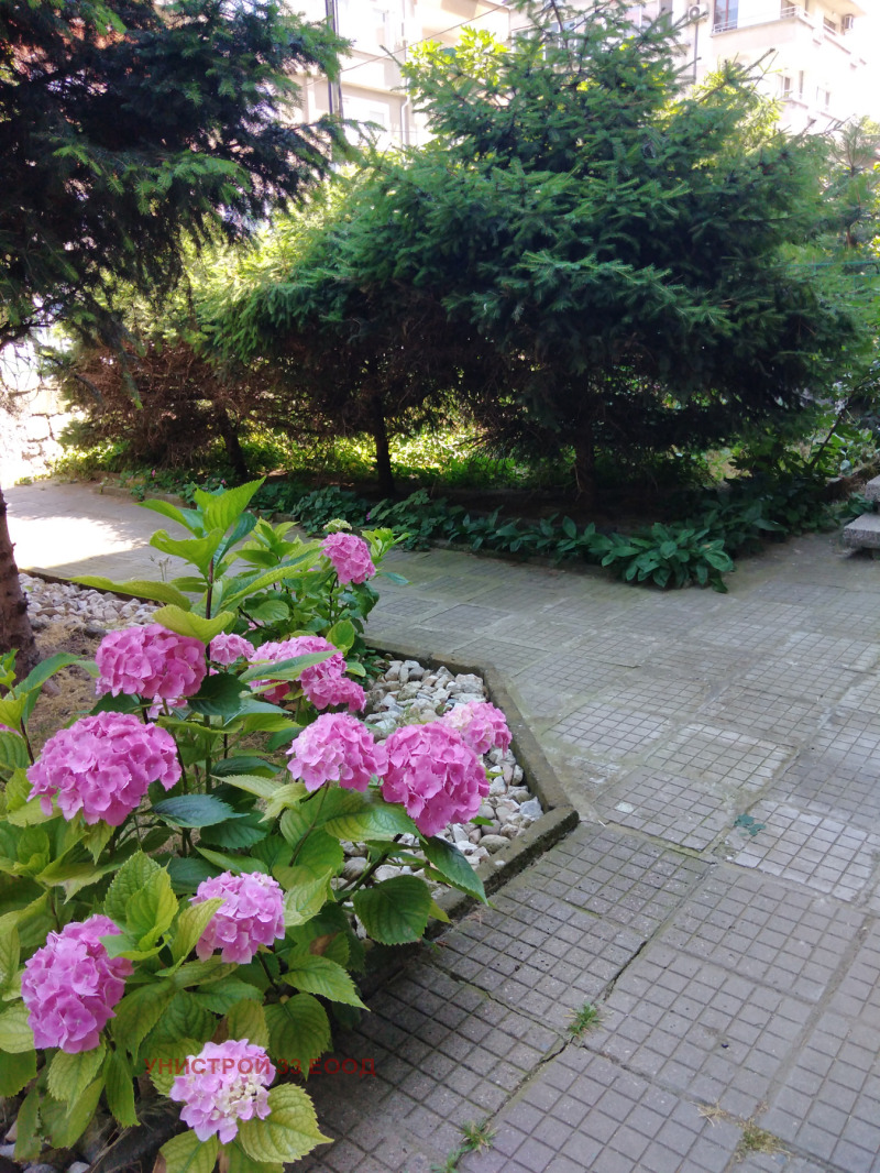 Продава  4-стаен град Пловдив , Център , 200 кв.м | 64899880 - изображение [4]