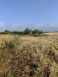 Продава ПАРЦЕЛ, област Пловдив, с. Крумово • 59300 € • 77542755 — Holmes.bg