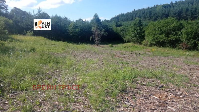 Продава ПАРЦЕЛ | Imot.bg — изображение 6