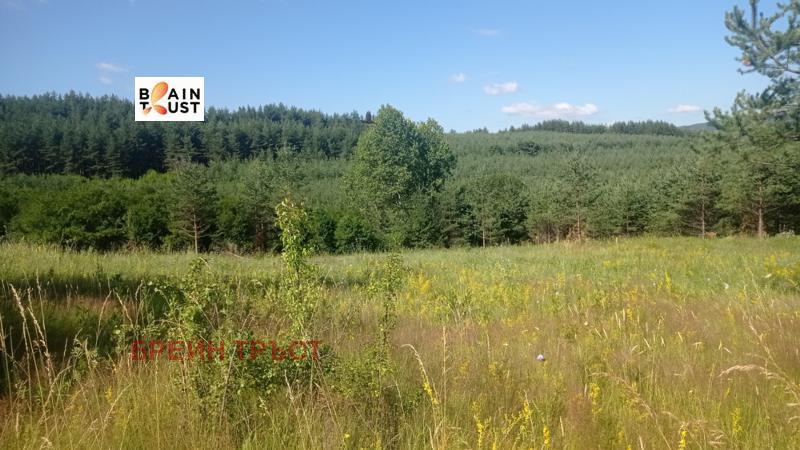 Продава ПАРЦЕЛ | Imot.bg — изображение 4