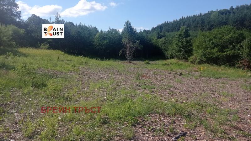 Продава ПАРЦЕЛ | Imot.bg — изображение 5