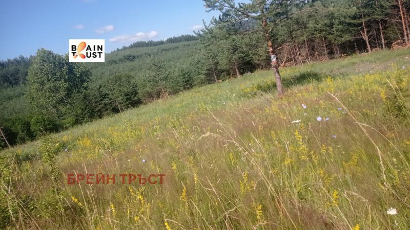 Продава ПАРЦЕЛ | Imot.bg — изображение 2