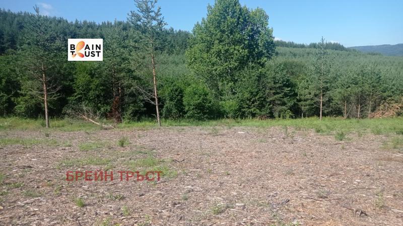 Продава ПАРЦЕЛ | Imot.bg — изображение 7